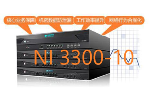奇安信網康上網行為管理NI3300-10 