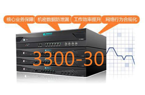 奇安信網康上網行為管理NI3300-30
