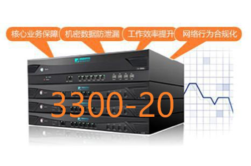 奇安信網康上網行為管理NI3300-20