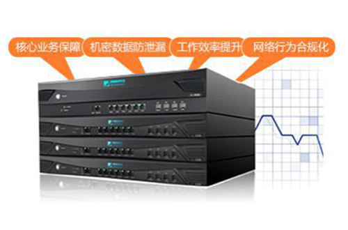 網康上網行為管理NI2200-10